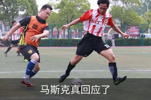 马斯克真回应了